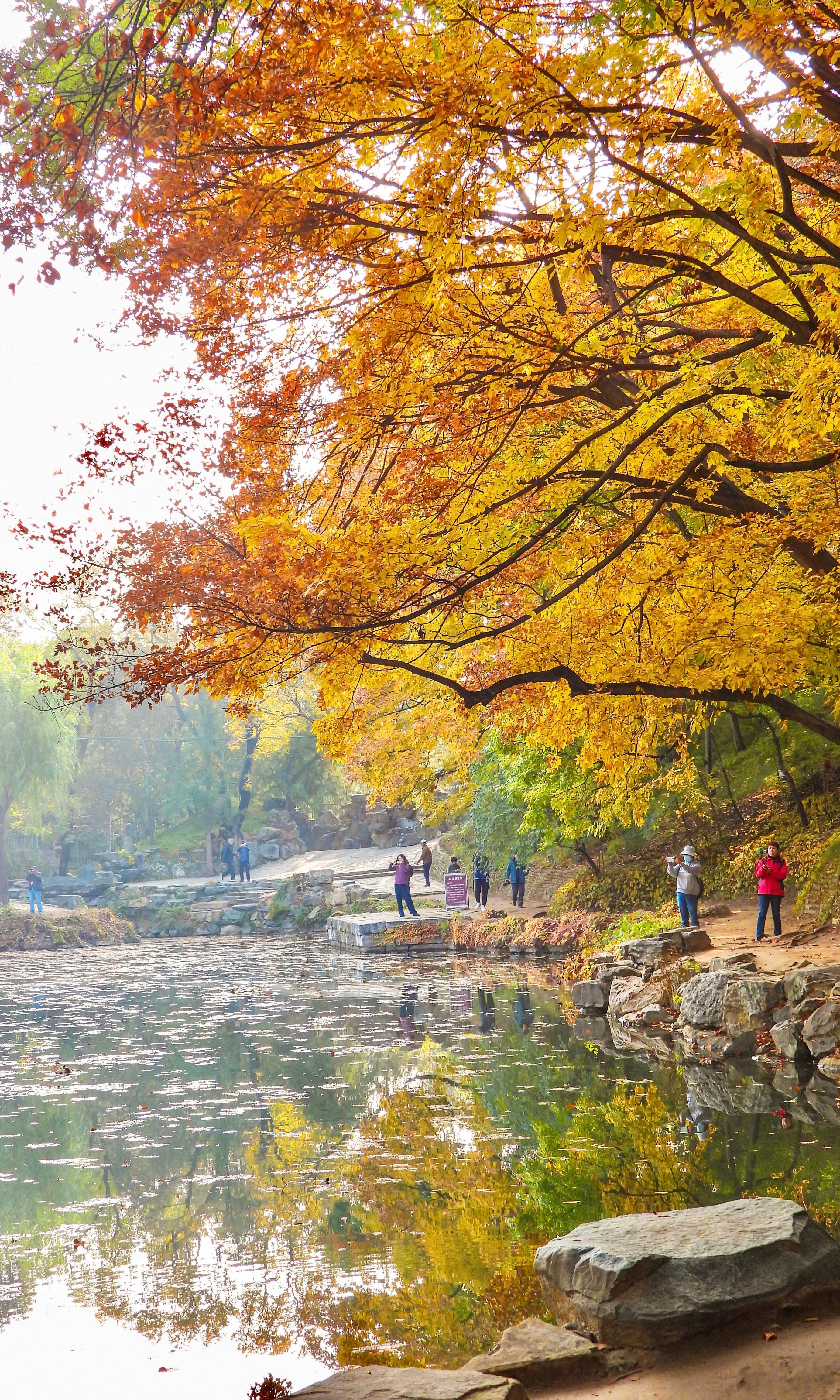 【北京颐和园 后湖】曙色氤氲含青霭  秋光滂沛带赤霞摄影​​​