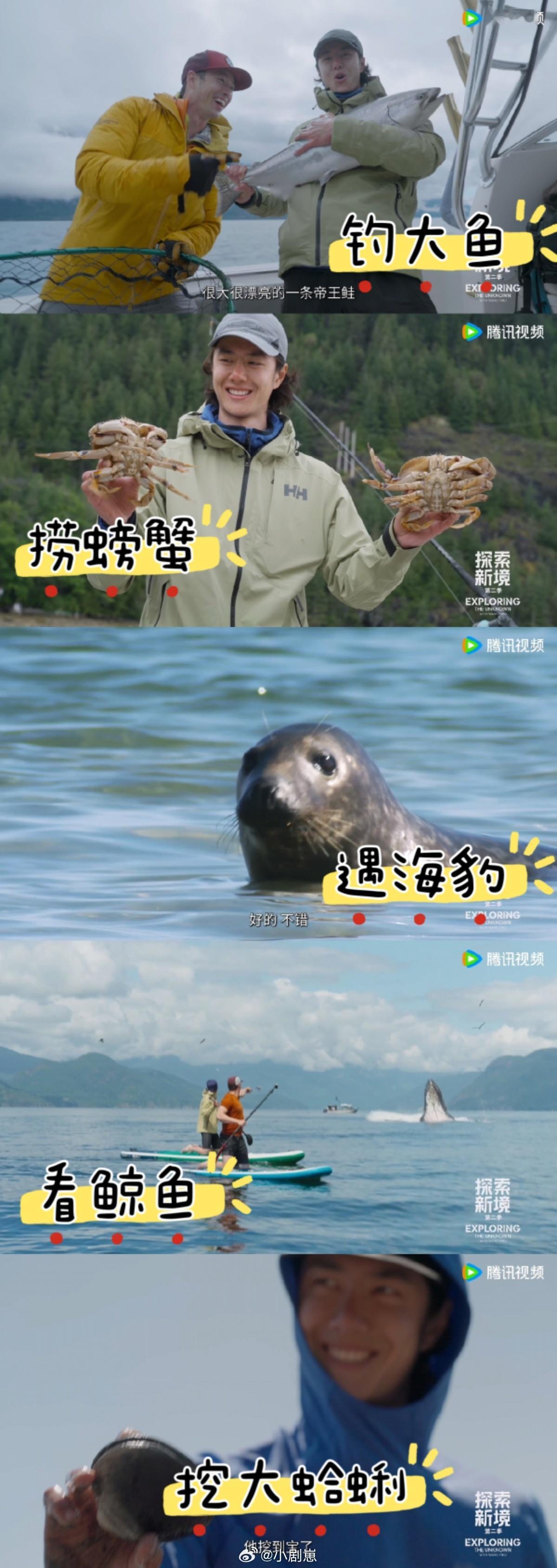 王一博气运之子王一博这运气绝了！首攀遇天晴，还撞见海豹座头鲸，挖蛤蜊都超大个，连