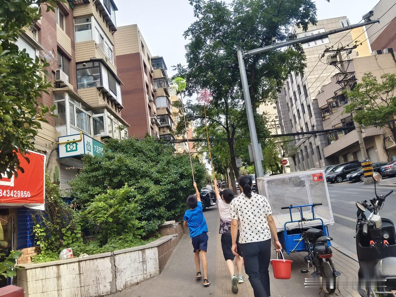 走在大连街上，看到有俩孩子拿着捕虫网，估计是要抓点儿飞行的昆虫吧？可是，这个季节