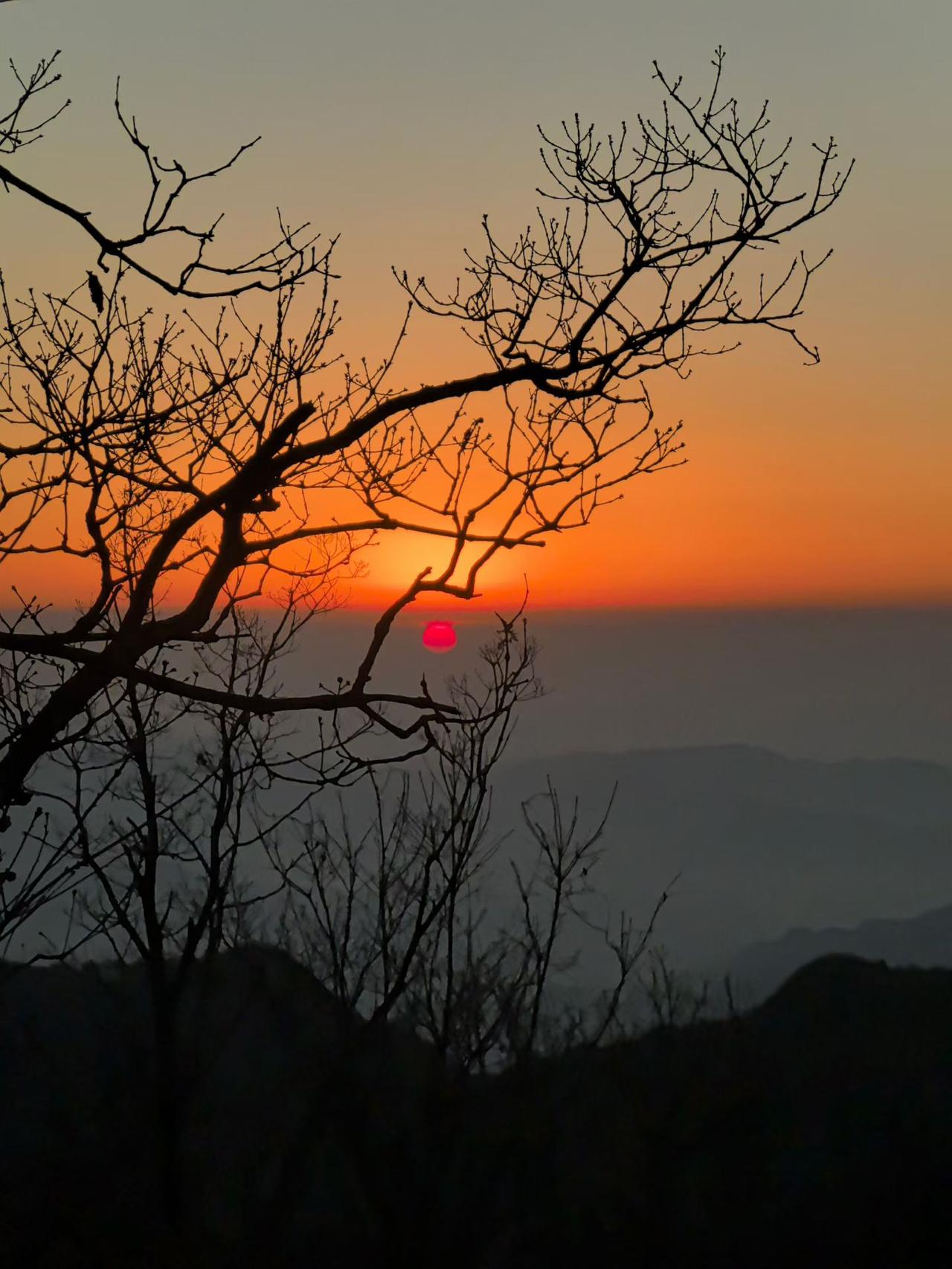 晒图笔记大赛晨练随手拍