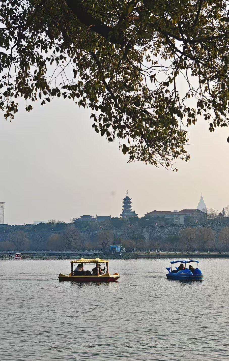 枝桠垂着浅春的绿意，游船把湖水犁成温柔的波，远处古建在薄雾里站成诗，这方天地，正