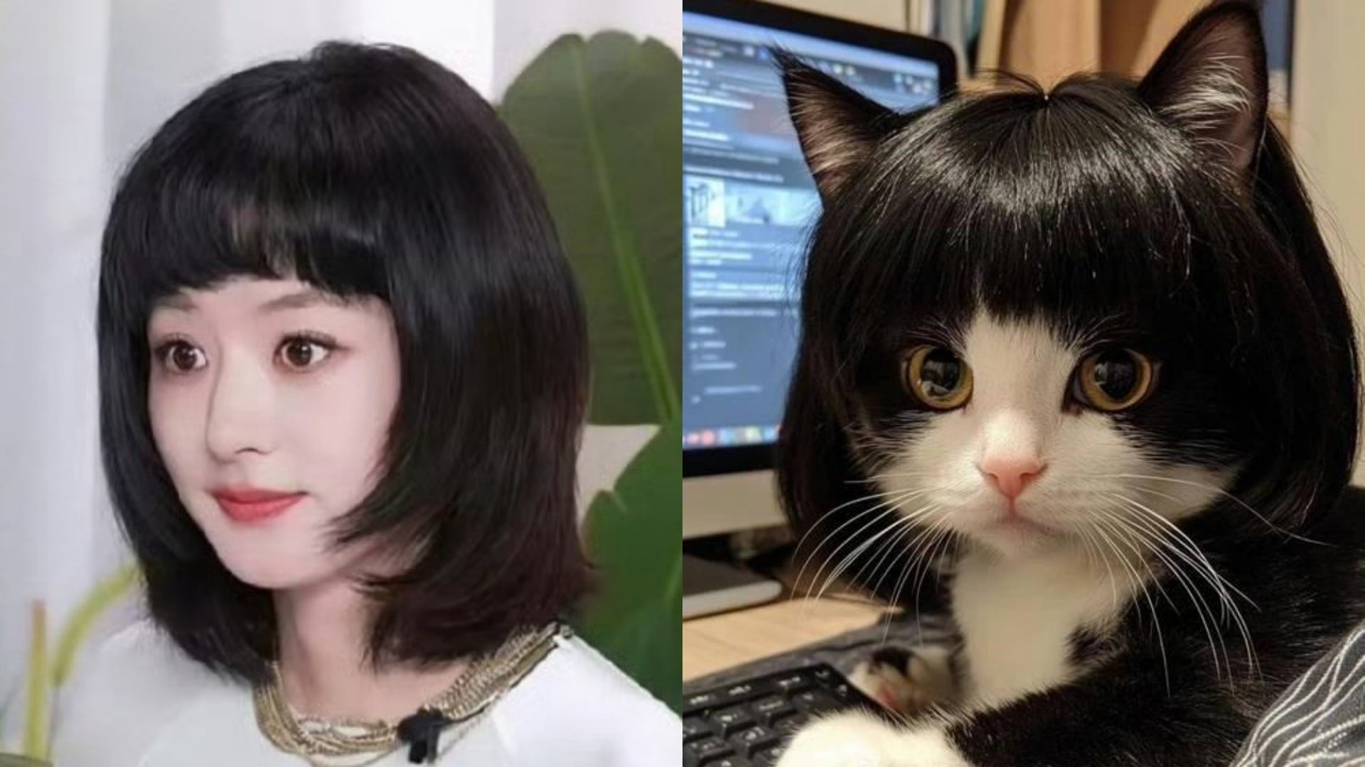 赵丽颖 赵丽颖直播 总在脑子想起一些画面~~哈哈哈哈 