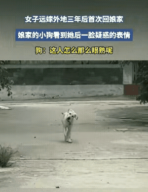 美女已被蟒蛇吞了
两男子还能干什么
下辈子再见再见吧
下辈子早点完婚生子吧
恐怖