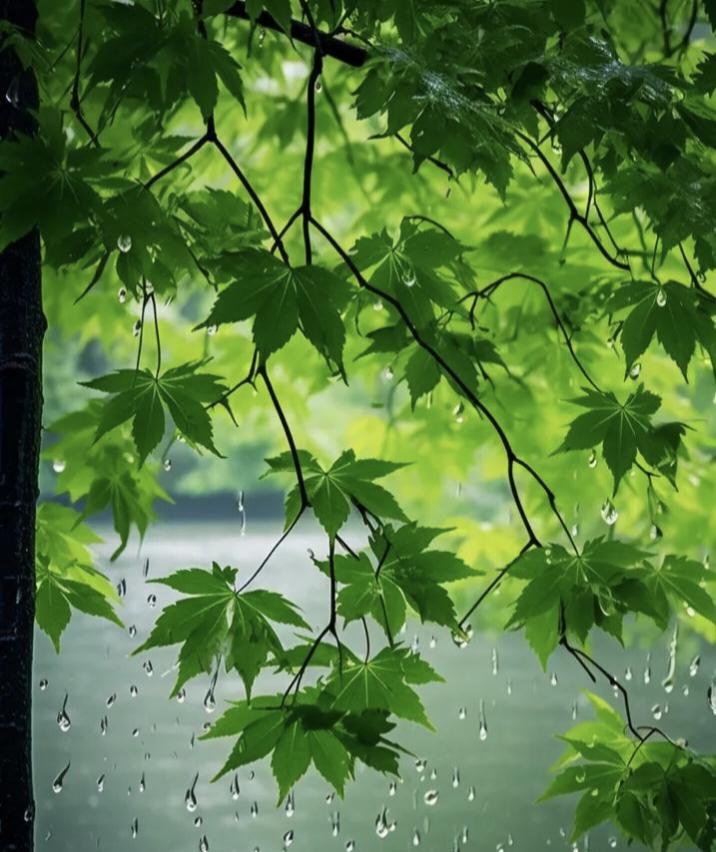 散文‖豫北盛夏的雨

中原大地的盛夏总裹着浓浓的暑气，直到豫北凉爽的风调皮地扯动