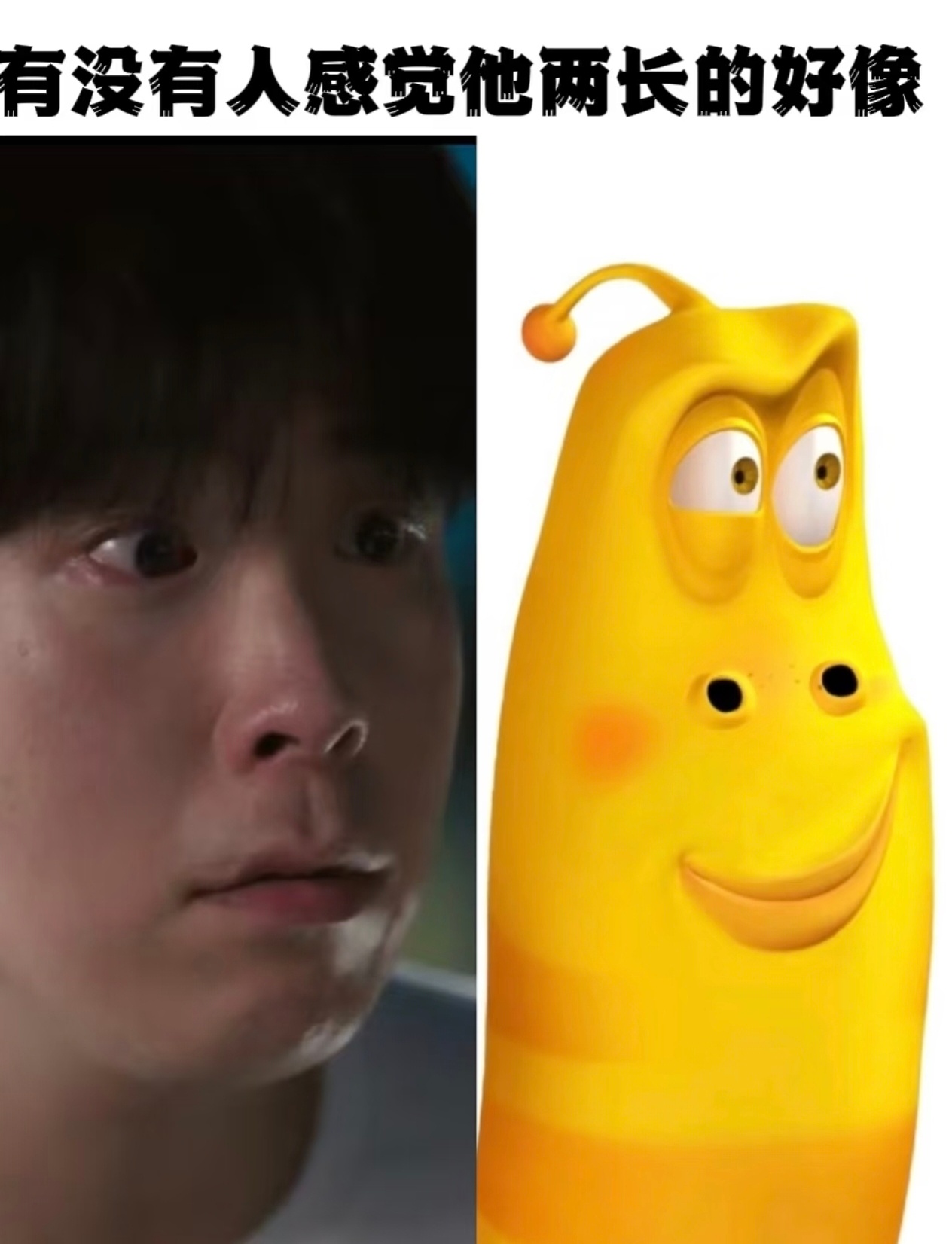 哈哈哈哈哈 咋这么像 