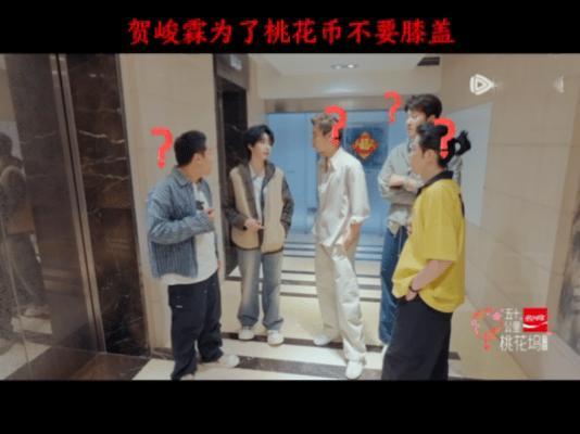 贺峻霖带桃花坞参观时代峰峻 贺峻霖回时代峰峻怎么给徐志胜跪了 从贺总升级贺董的秘