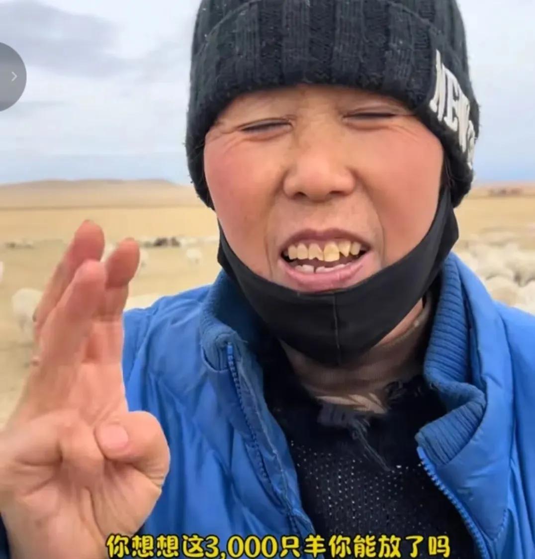 内蒙古放羊一月一万六？蒙古大姐一语道破天机，给五万六也不能放



最近网上在传