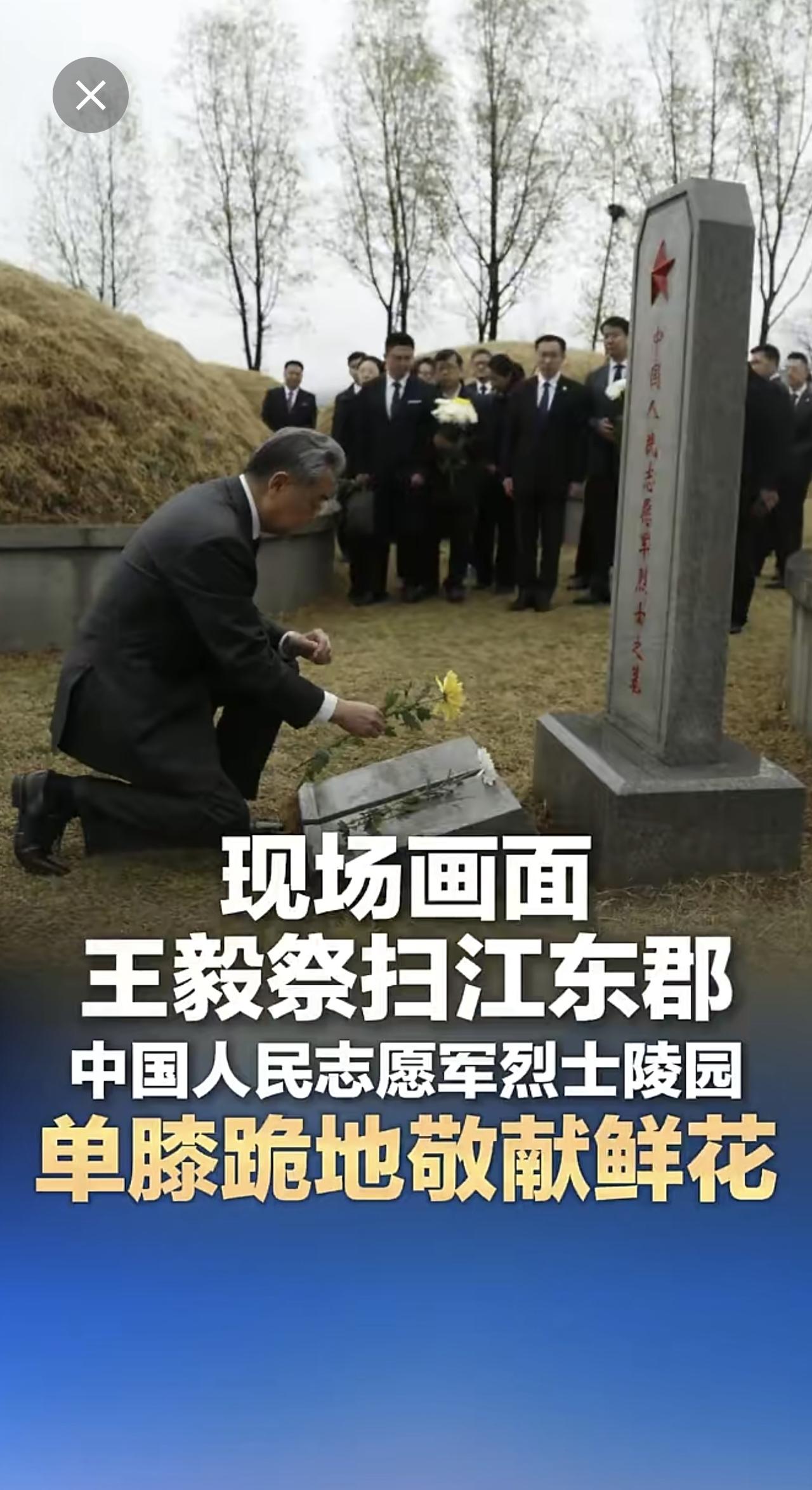 现场画面 王毅祭扫江东郡中国人民志愿军烈士陵园 单膝跪地敬献鲜花 （来源：中国新