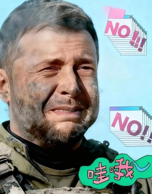 泽连斯基公开承认

2026年1月16日，乌克兰总统泽连斯基公开承认：乌方防空导