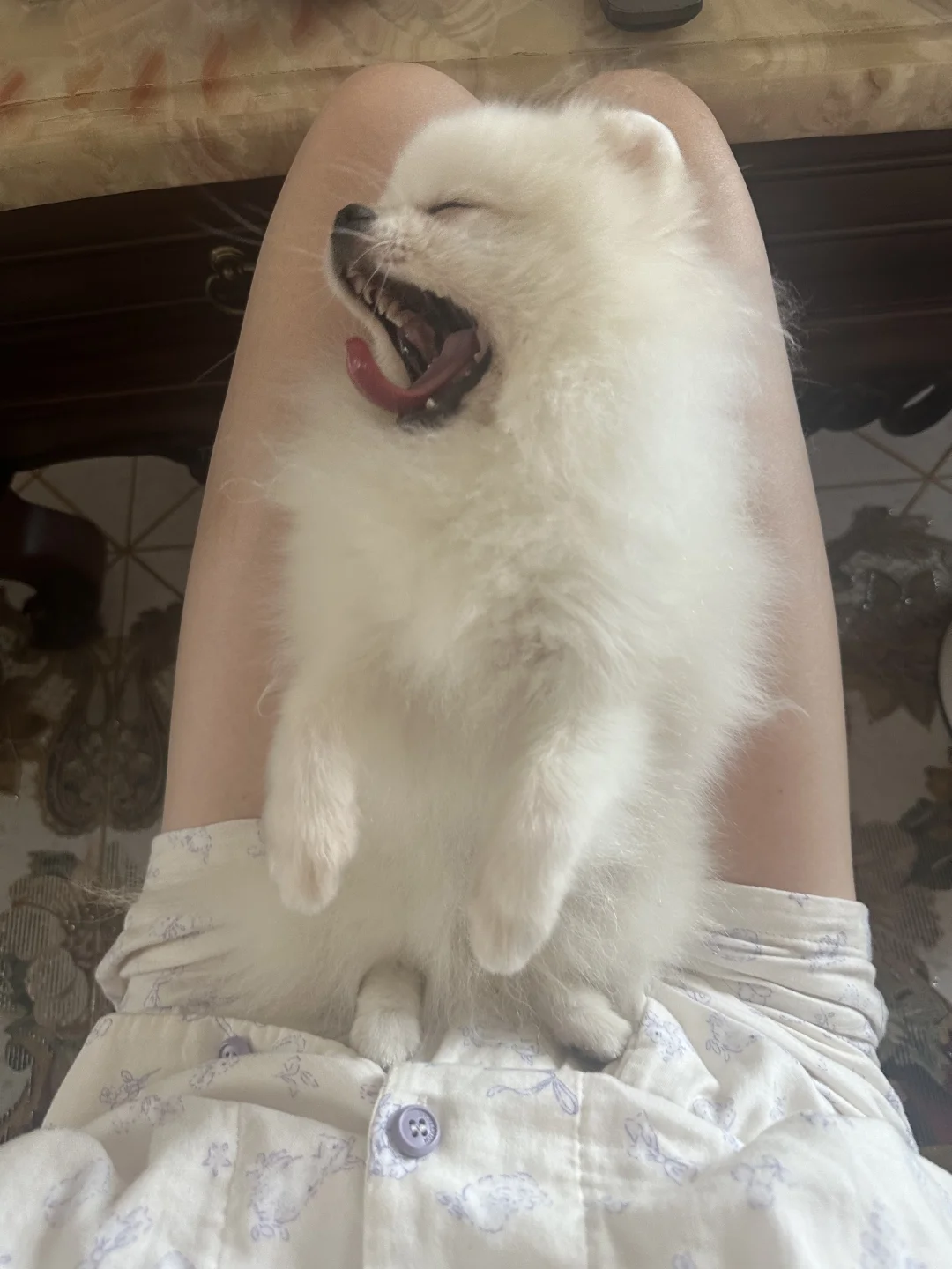 血盆大嘴啊！血盆大嘴