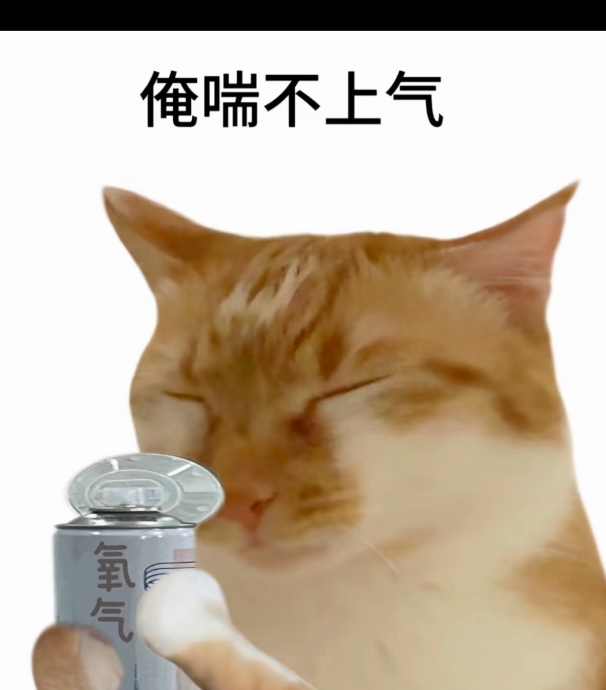 我看ig比赛就这样 ​​​