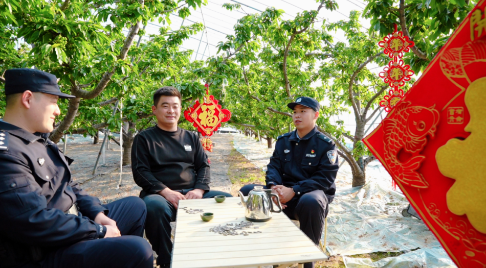 大棚里面有“警”色，他们守护樱桃园的幸福年