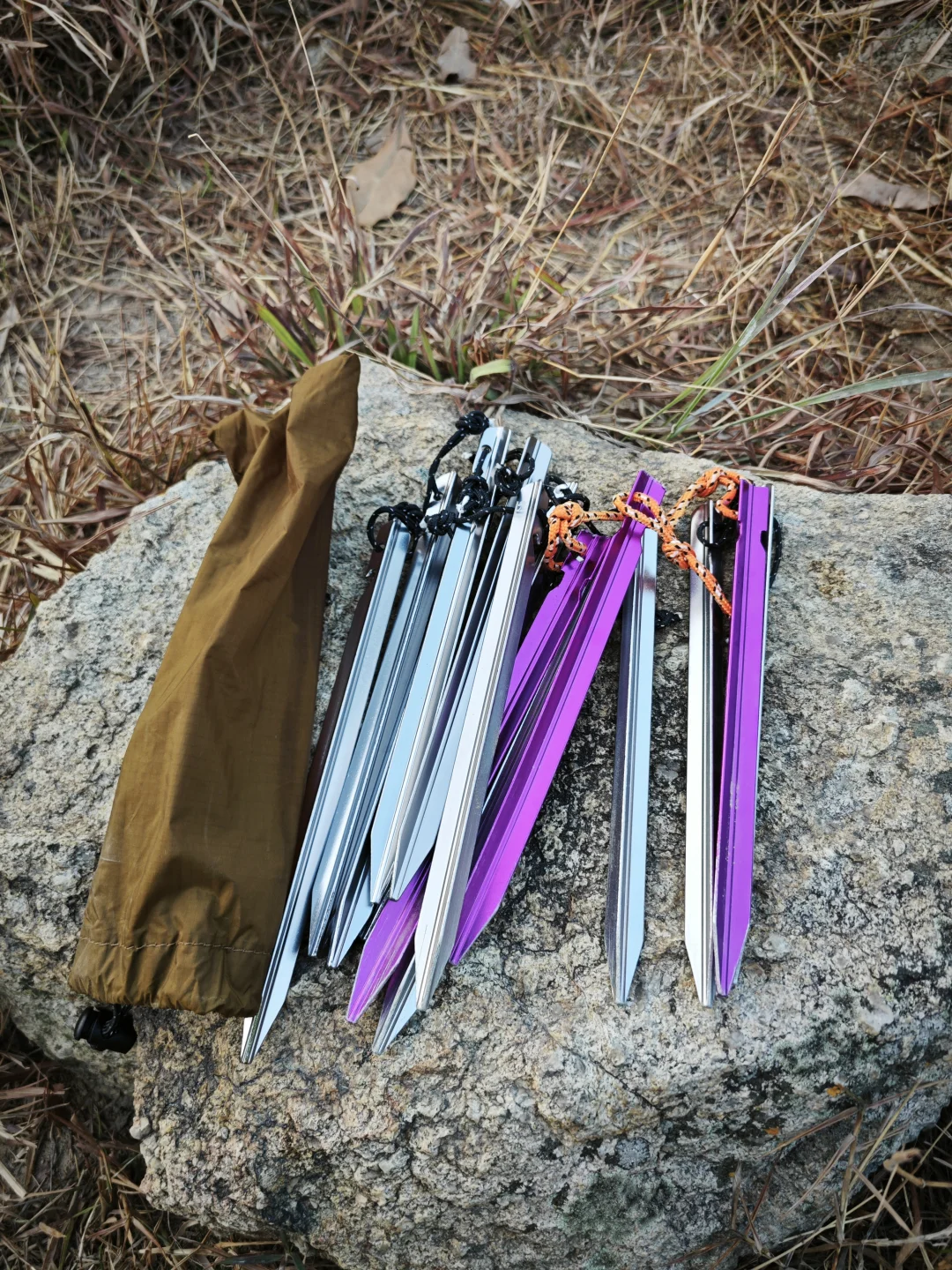 香港凤凰径煎鱼湾营地失物寻找主人