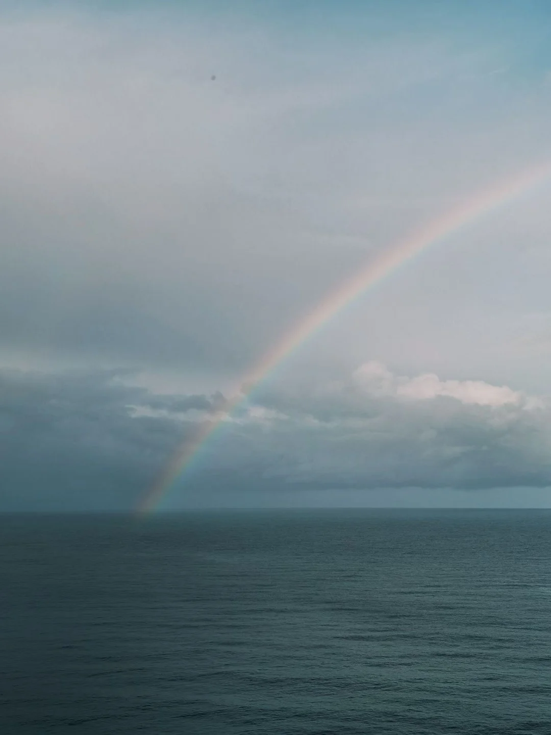 🌈看到的人三月会有好运