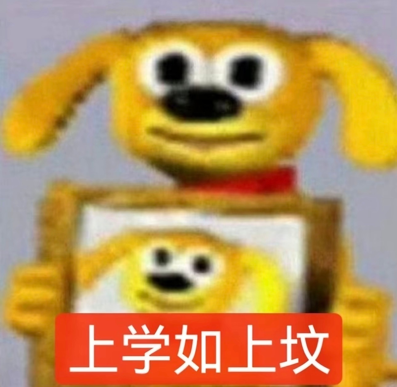 分享图片 ​​​