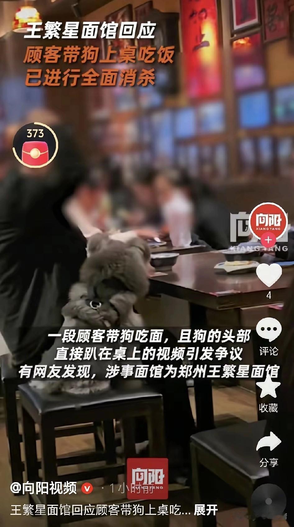 饭馆居然有人带着狗去吃饭，
虽说他们看的狗命比人命重要，
但是不应该让狗上桌，