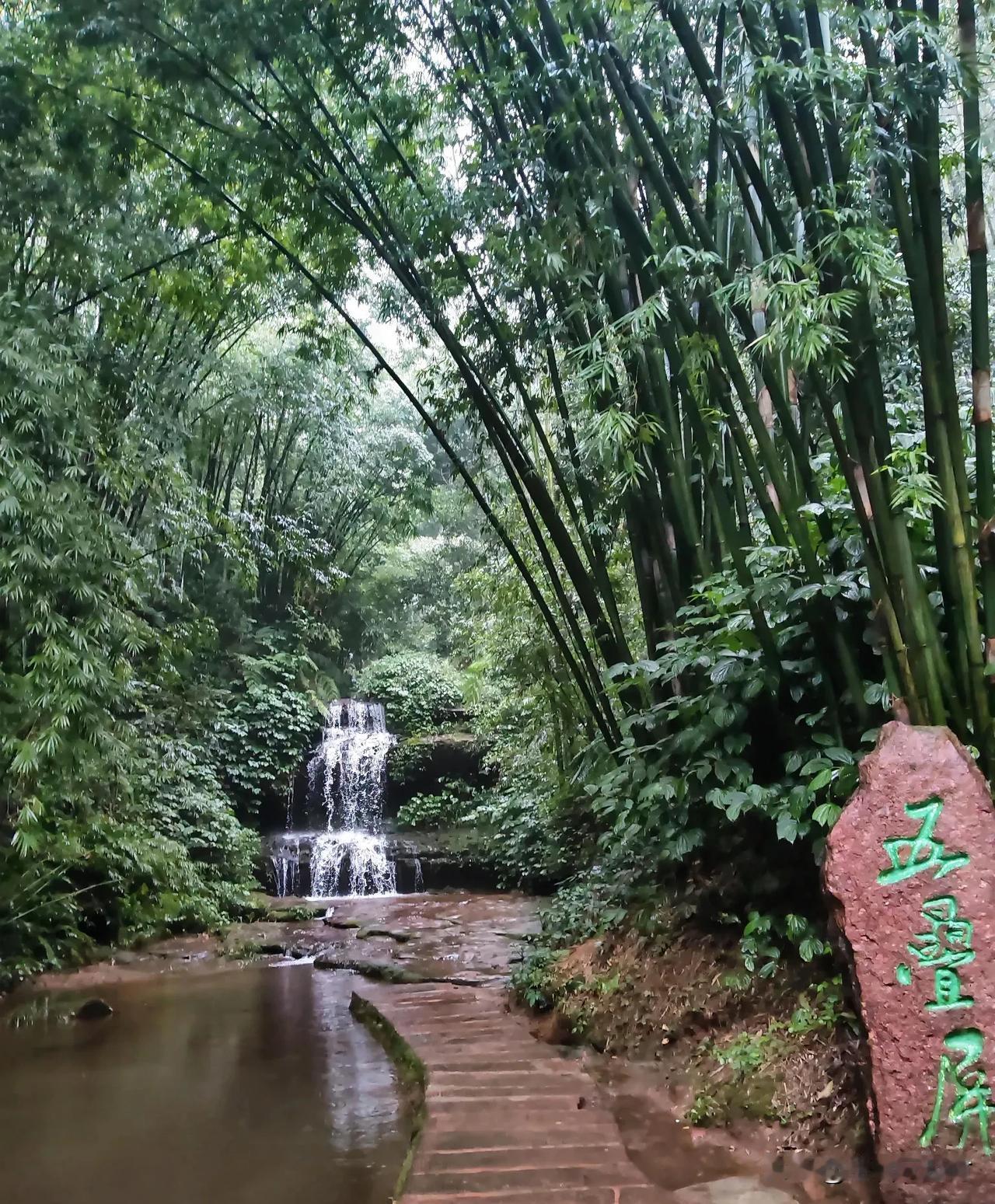 忘忧谷内，风雨飘摇，翠竹傲立；络绎不绝的游人，打着名色雨伞，穿着长短不一的雨衣，