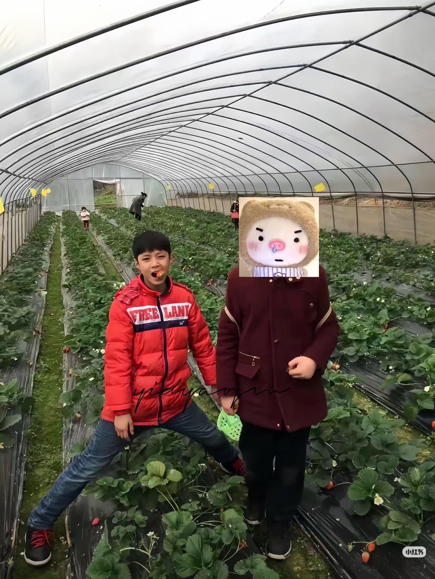 从小就爱劈叉 