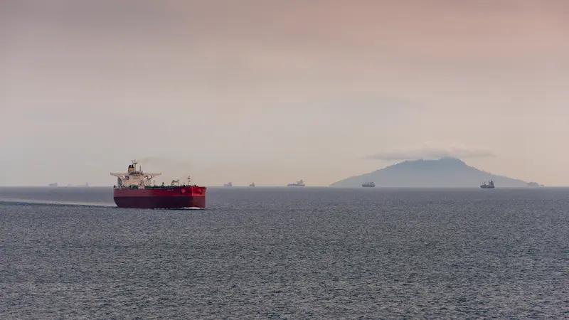 德总统：防止世界沦为盗贼横行的巢穴 德国总统说要防止世界沦为盗贼横行的巢穴，这话