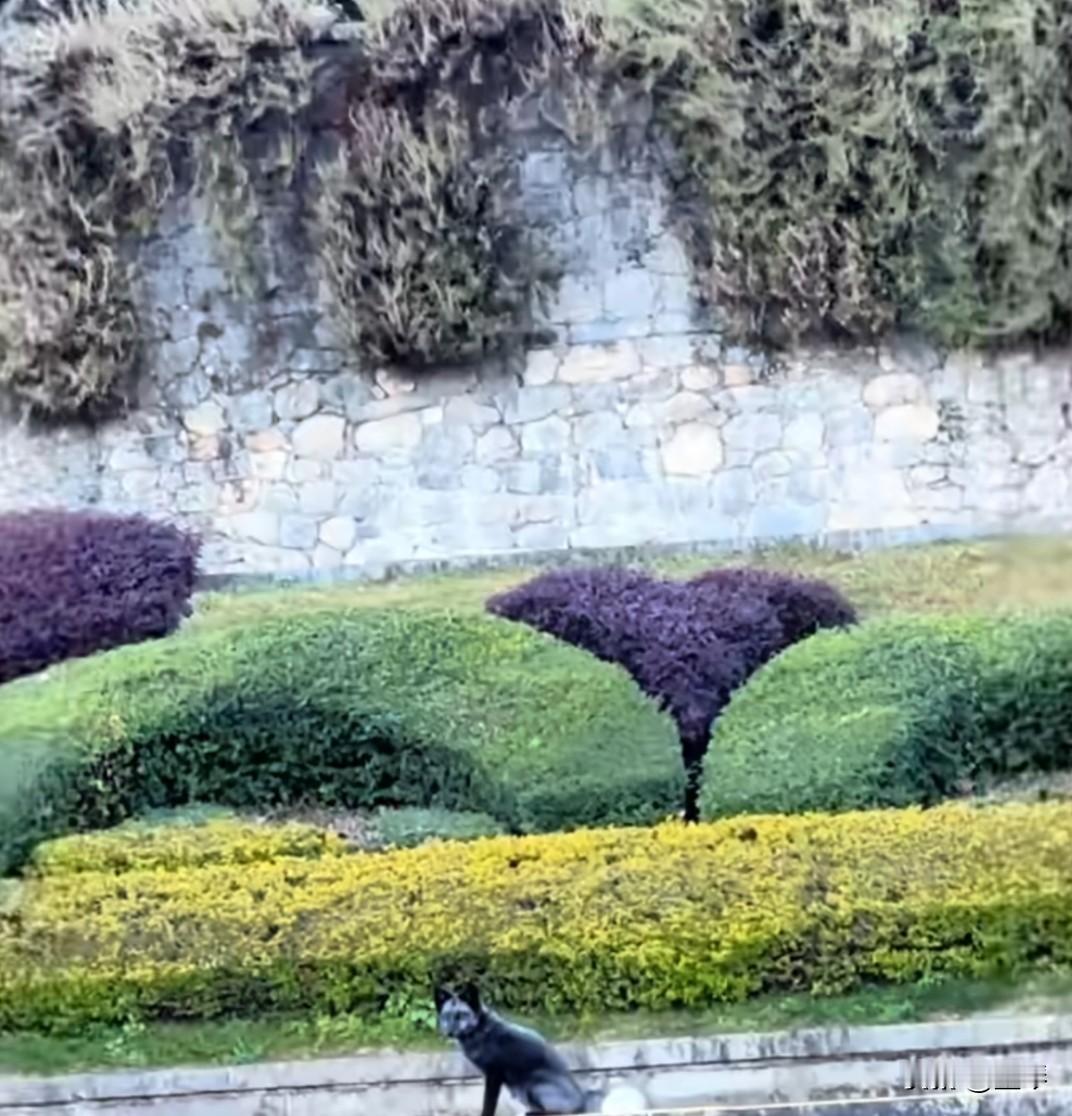 那些被妈妈忽略的孩子，那些未被接住的童年，长大后会是什么样子的？
 

一次视频