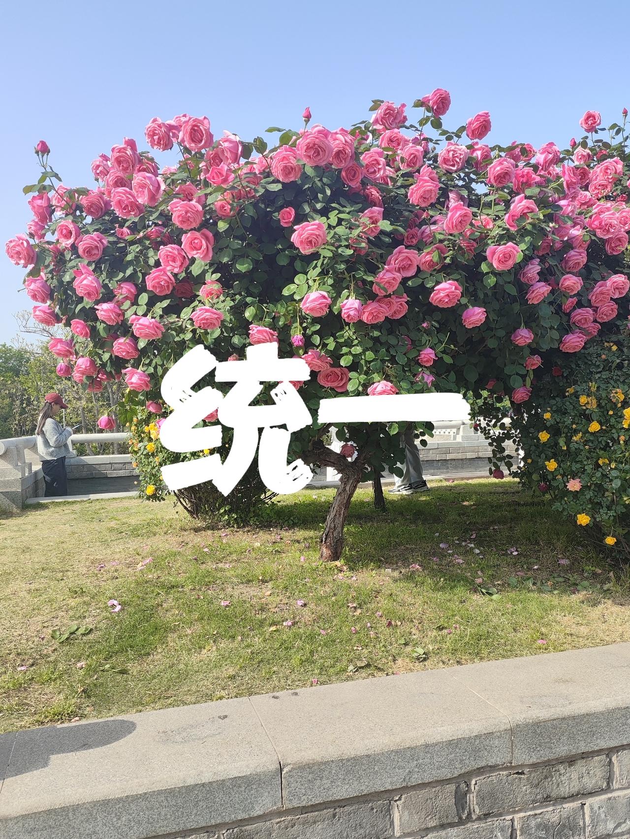 让台湾一点点失望
不是不统一，是不着急统一
一天不统一，台独分子就得继续
日本就