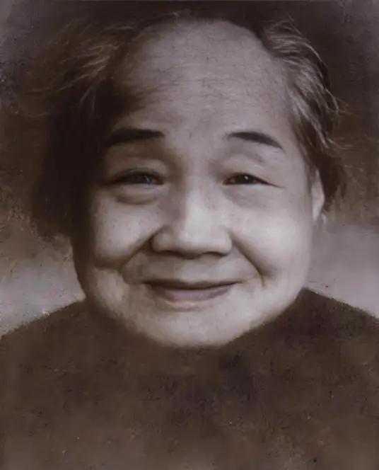 1950 年，毛岸英风尘仆仆回到湖南，看望年近八旬的外婆向振熙。并询问她有什么要