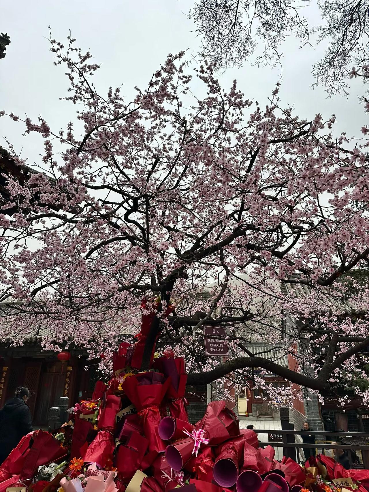 真正懂得“慈善”二字的人，不会用“得”与“失”去衡量，很多人以为做慈善就是“积功