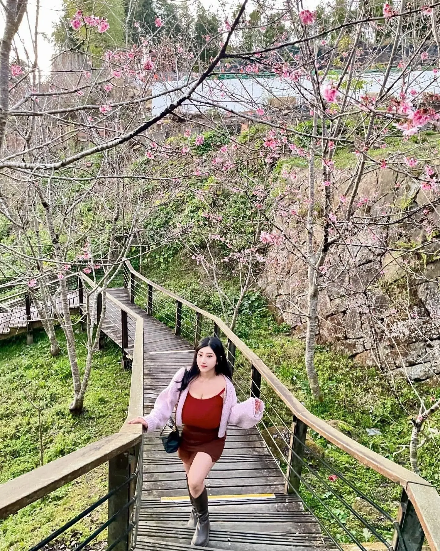 情人节。过节的正确方式～走近自然亲近鸟语花香的初春