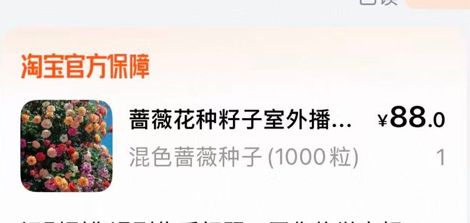 卖家可能也没想到，会遇到这么较真的人。 