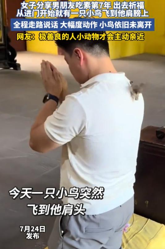 四川成都一对情侣前往寺庙还愿，坚持吃素七年的男子，在还愿过程中突然被一只小鸟主动