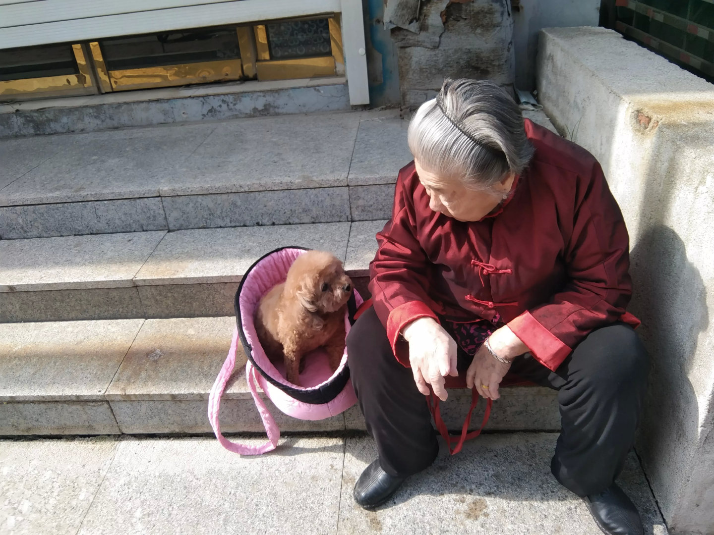 马路上温馨的画面，成为一道亮丽的风景，老人年岁已高，每天带着小狗在门口晒太阳，跟