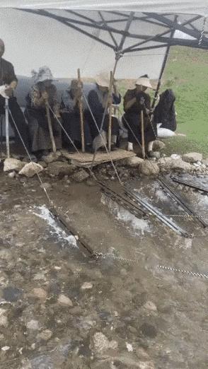 他们想表达什么呢