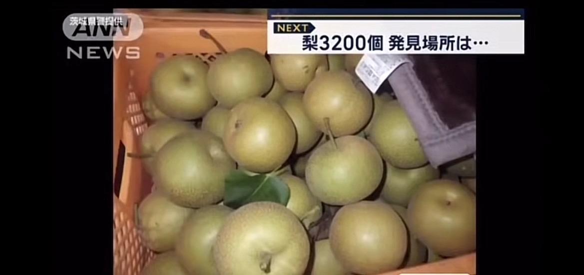 最近这几年在日越南人犯罪好多。7月初发生茨城县1家梨园3200个梨被盗，近日案件