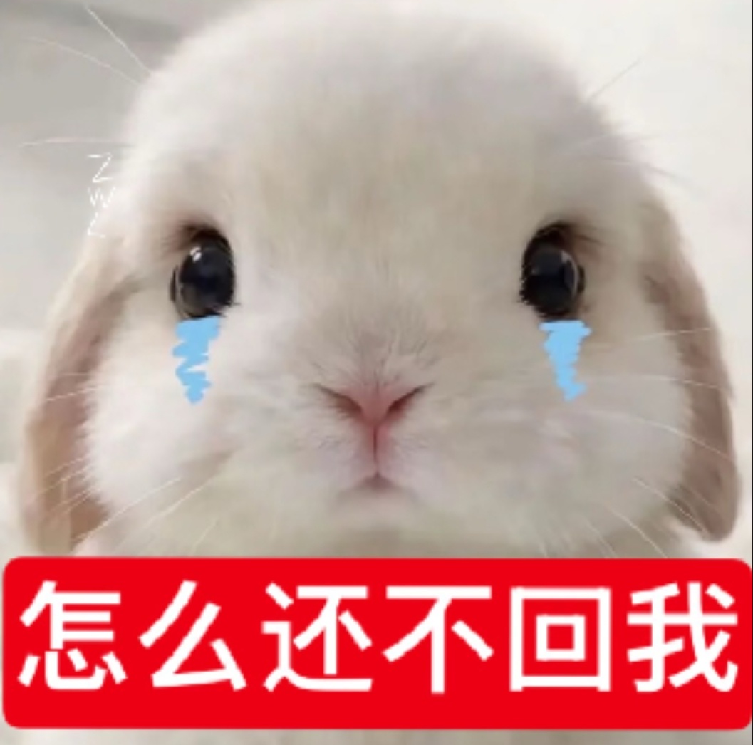 养浩得养到多好huq得月到多少人才能一发出去就有人跟我互动给我点赞跟我玩 