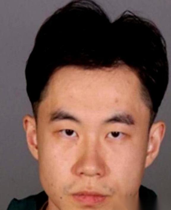 张大鹏，一个哈工大毕业、在法兰克福拿高薪的IT经理。如果不是德国警方那把破门而入