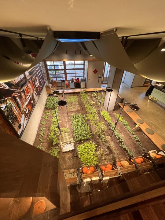 沈阳还是太超前了啊。。。😅