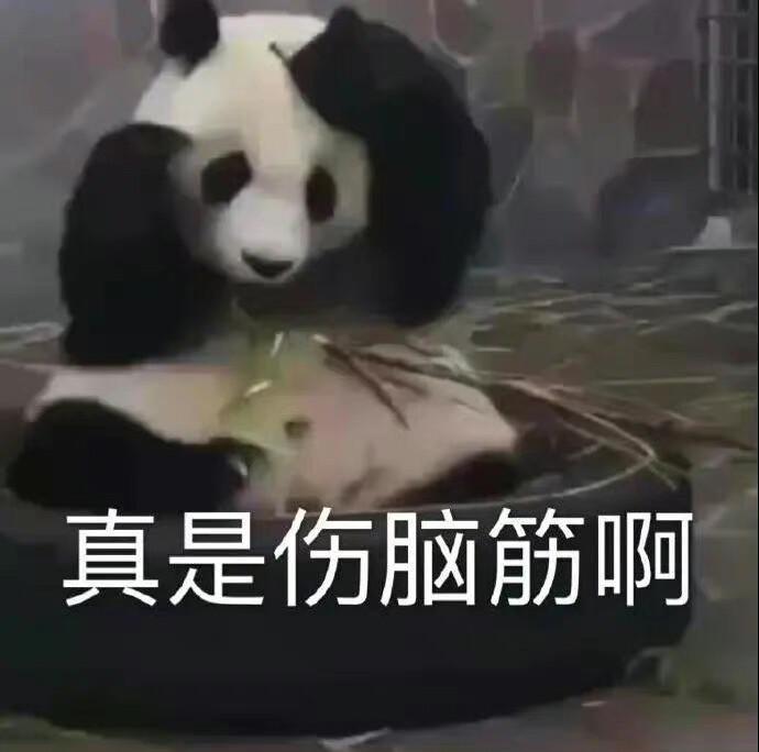 表情 #动物