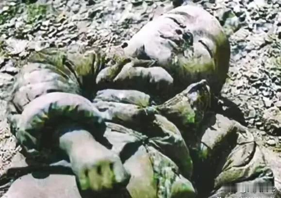 见到你们这些忘了祖宗的行尸走肉，真是一生的不幸！”“当汉奸是民族败类，绝无好下场