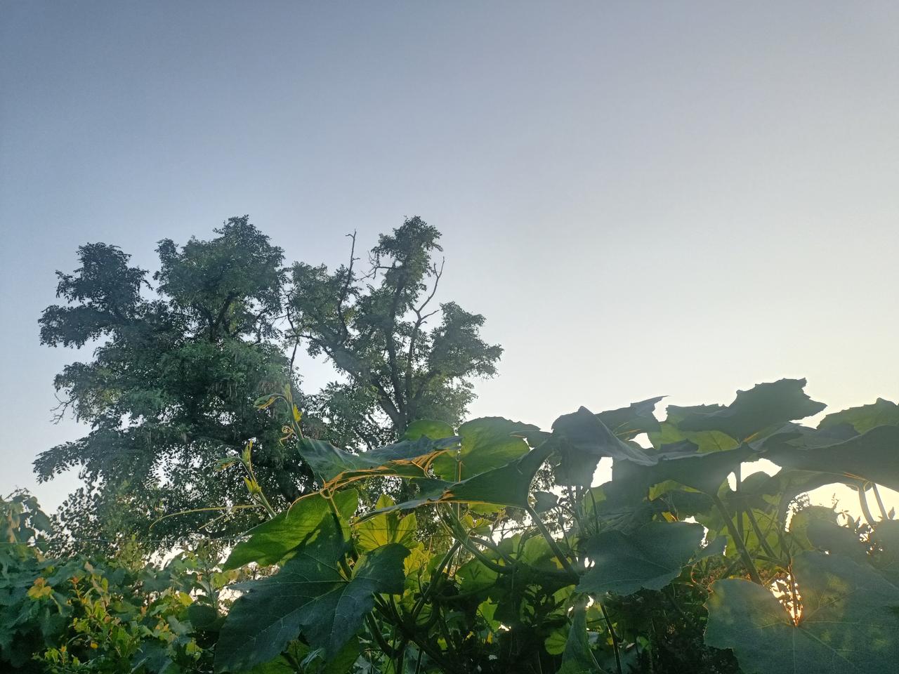 横拳出手似铁梁，
它的劲力的秘密在哪里？
就是手和身的反别劲，
有了这个结构，