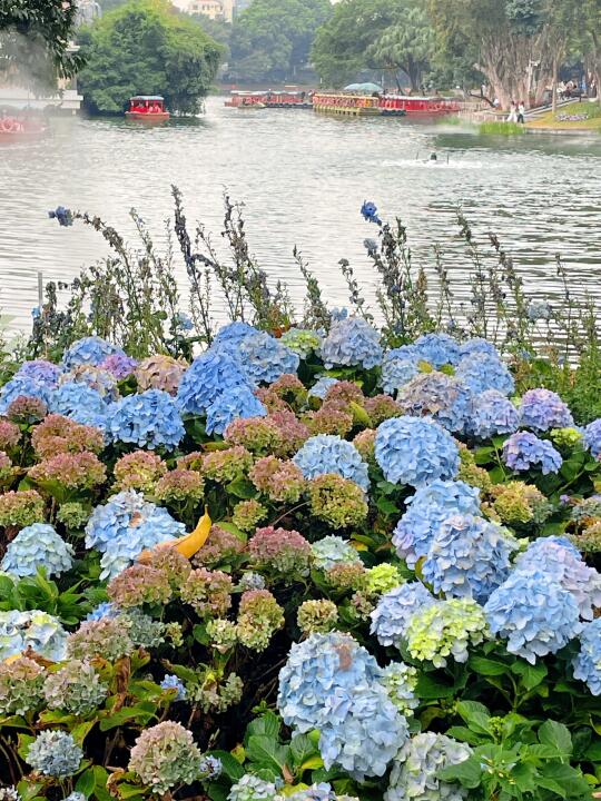 是的，周末我也来拍了～