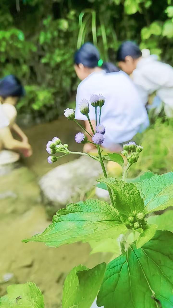 避暑胜地