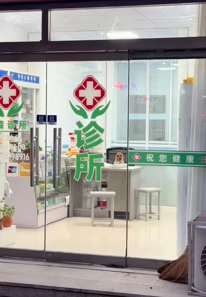 笑疯了都，坐诊医生抽身离开，大黄立马就替补上了