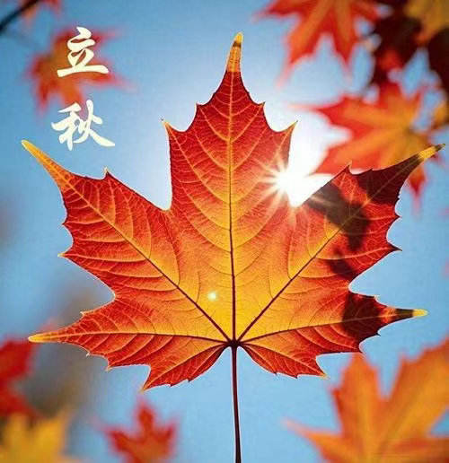 肖说道老肖漫谈初心易学 露簟荻竹清，风扇蒲葵轻。一与故人别，再见新蝉鸣。 