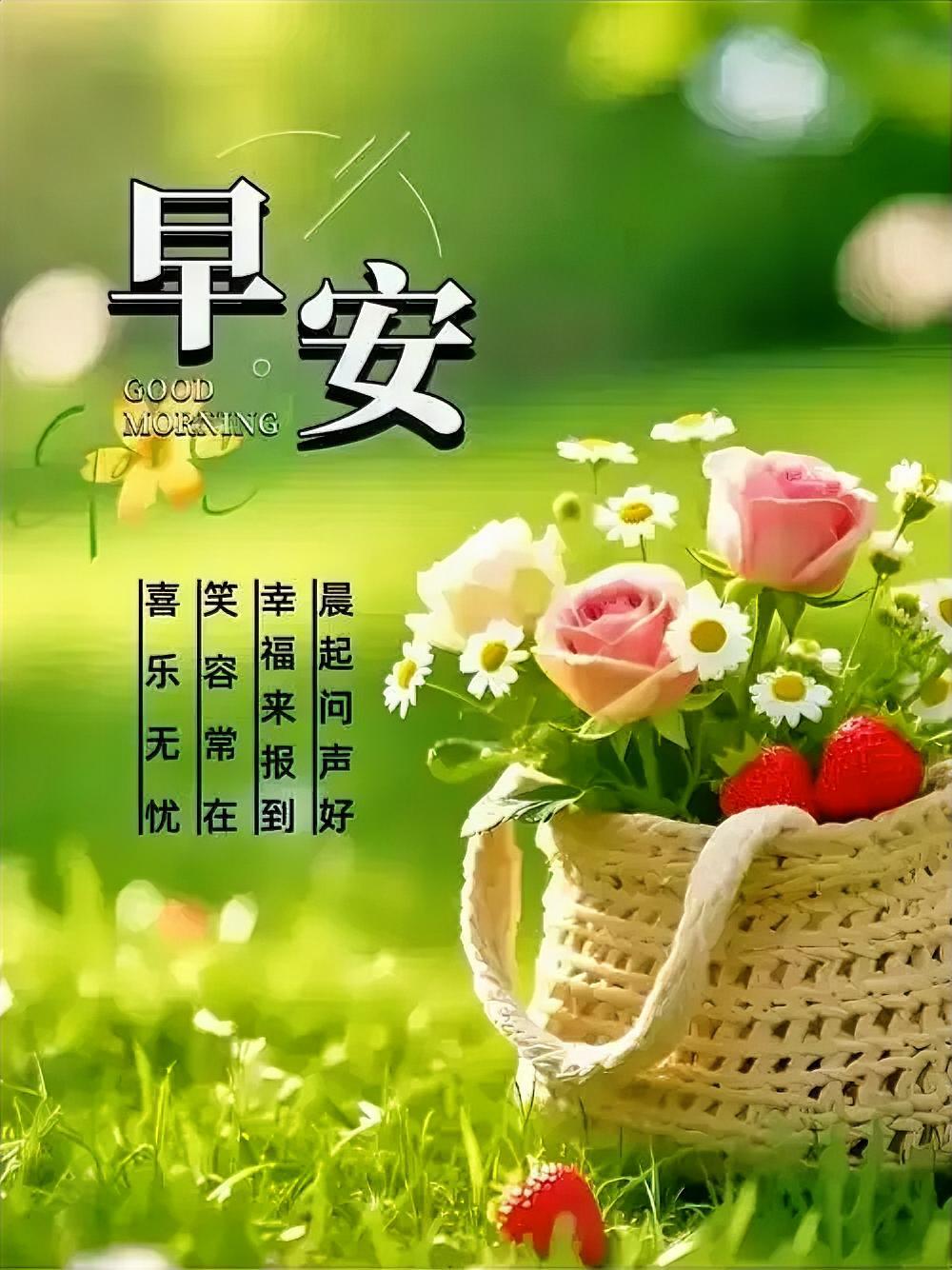 晨光如期，美好如常！
花儿图片 
分享每日早安语