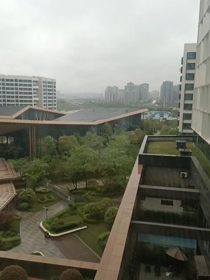 今天早上起来，外面雾蒙蒙的，整个世界像被一层薄纱笼罩。出门上班，路上能见度很低，