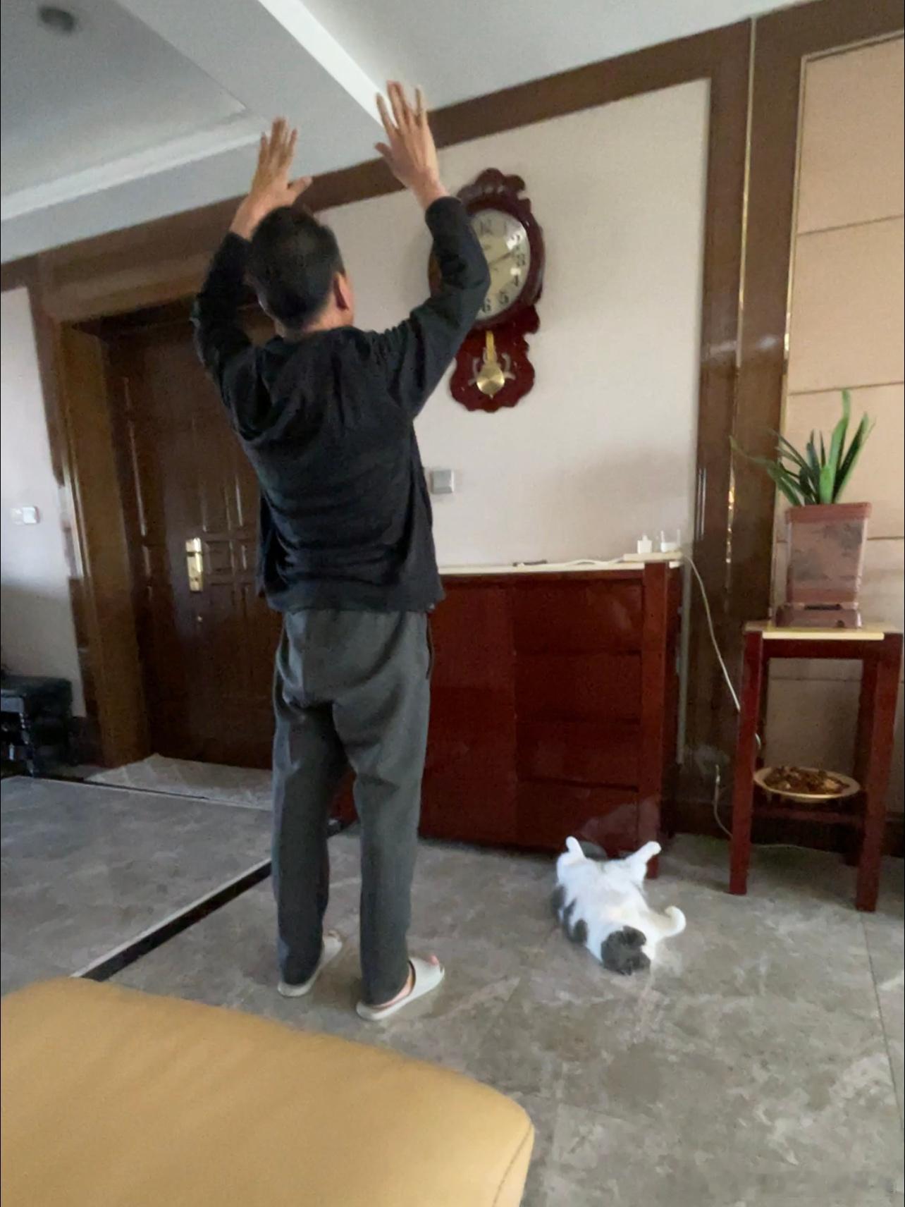 姜姜：老婆喜欢我，闺女喜欢我，所有的猫猫喜欢我，人生易如反掌 