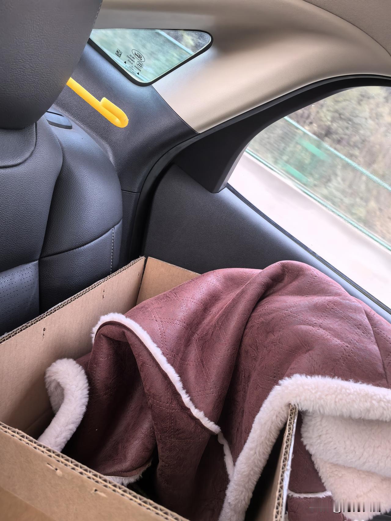 哎呀妈呀！
开一天车才到湖南，
我无所谓，关键我的猫，缩在纸巾里一天不吃不喝，也