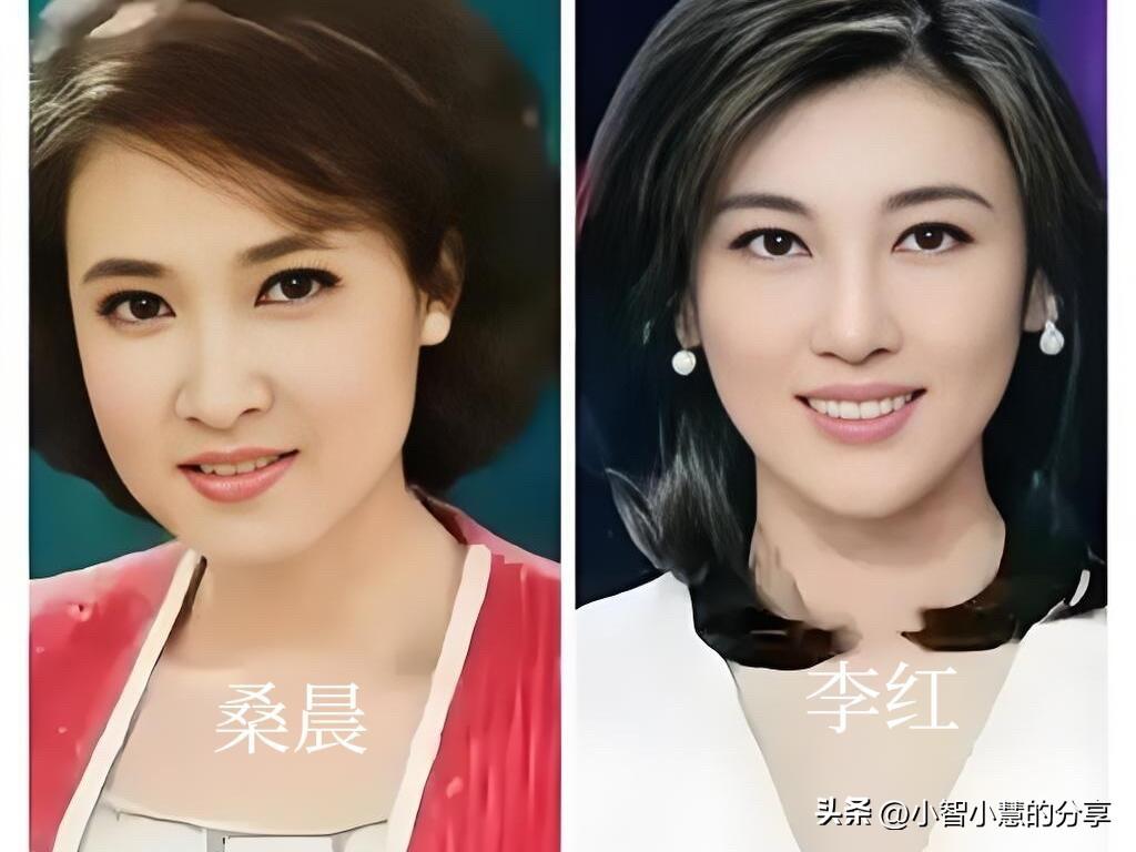 桑晨端庄，很耐看，她的主持风格大气又自然，稳重有自己的见解，大方得体，口才超群，