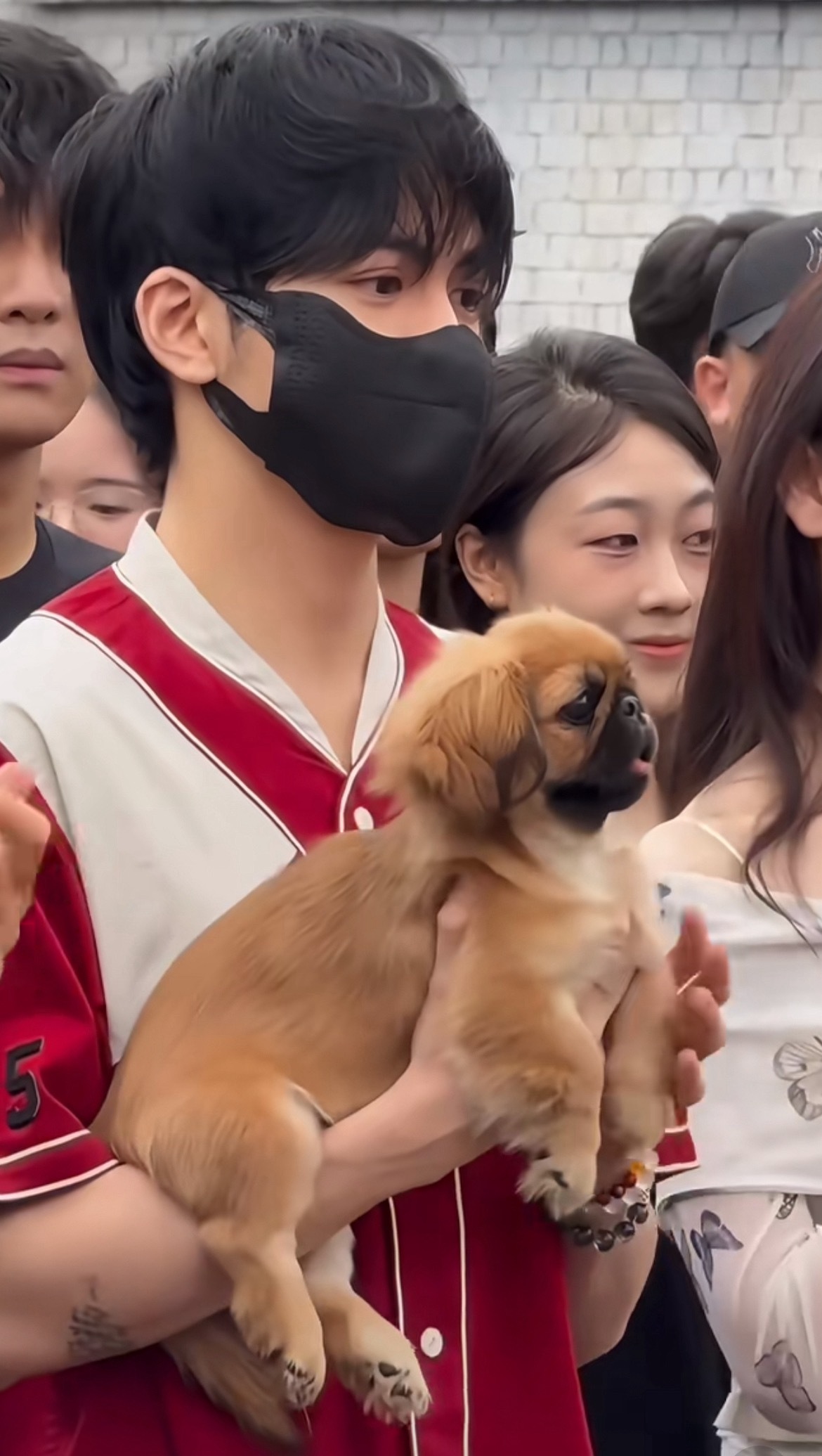 小女茁壮成长前后对比..... 