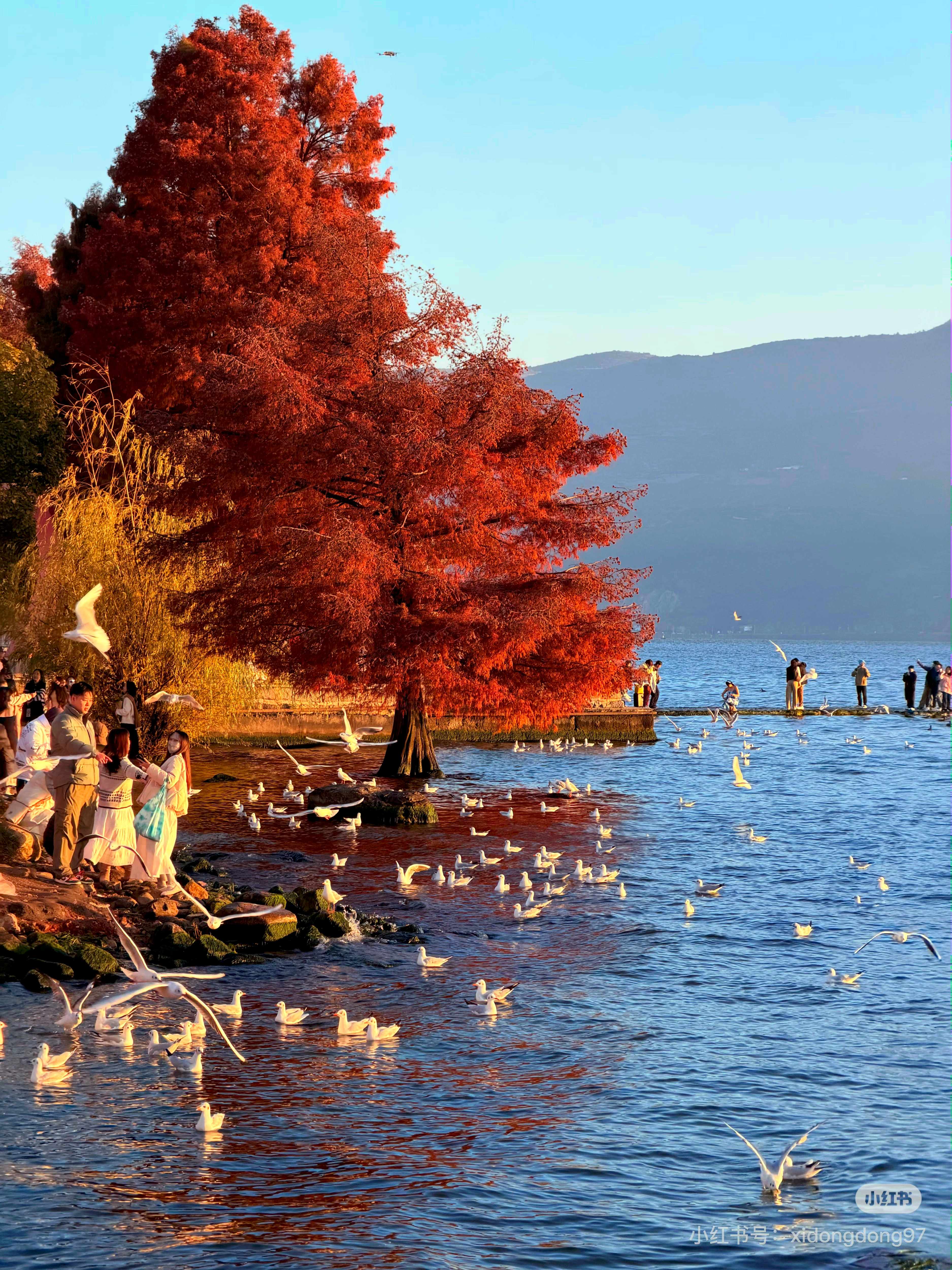 读书是见世面最快的方式我的私人宝藏书单书评 去见风，去见海，去见那个闪闪发光的自